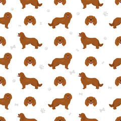 Cavalier King Charles Spaniel seamless pattern