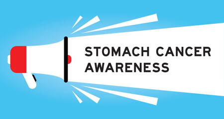 Color megaphone icon with word stomach cancer awareness in white banner on blue background