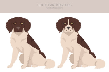 Dutch partridge dog clipart. Different poses, coat colors set
