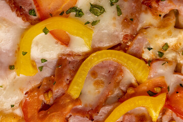 delicious homemade fast food pizza with pepper and meat