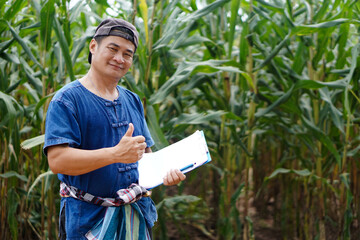 Asian man farmer is in maize garden, wears cap,blue shirt,hold paper clipboard, inspects growth and...