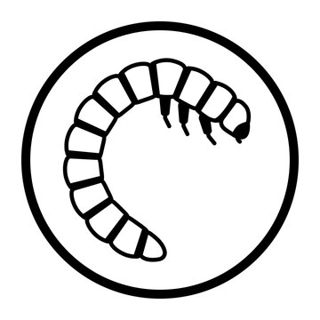 Mealworm larva isolated vector icon