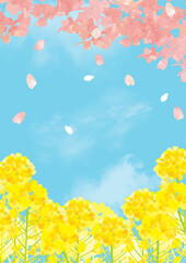 Fototapeta na wymiar 桜　青空　優しい春の背景イラスト