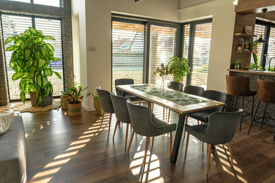 modern home with nature vibe wooden rocky details and plants and blinds on the windows