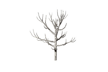 shape dead tree white background 3d rendering