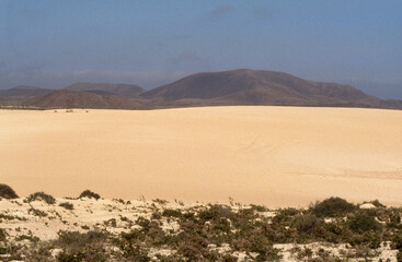 Fototapeta na wymiar parc natural de Corralejo, Ile de Fuerteventura, Iles Canaries, Espagne