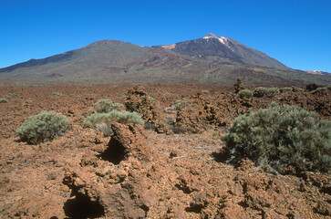 Parc national, Volcan Teide, Ile  de Tenerife, Iles Canaries, Espagne