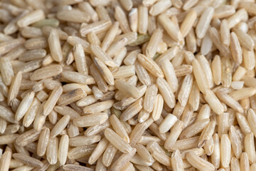 Unprocessed healthy dark rice, close up