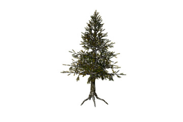 shape hemlock tree white background 3d rendering