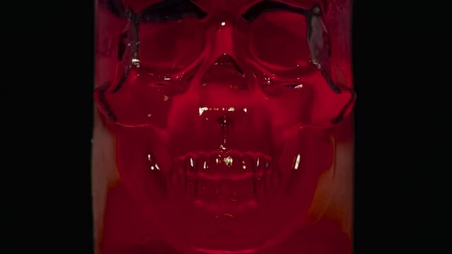 Melting Red Ice Skull. Timelapse. Ice skull covered with frost quickly melts and glistening disappears in the dark