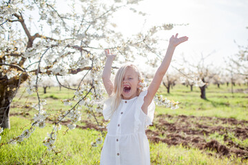 A beautiful blonde girl walks in the garden among flowering trees on a sunny day. The female child dressed white sunfress in spring dy