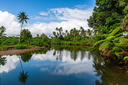 Fototapeta Lush jungle in the Bouma National Park, Taveuni, Fiji, South Pacific, Pacific