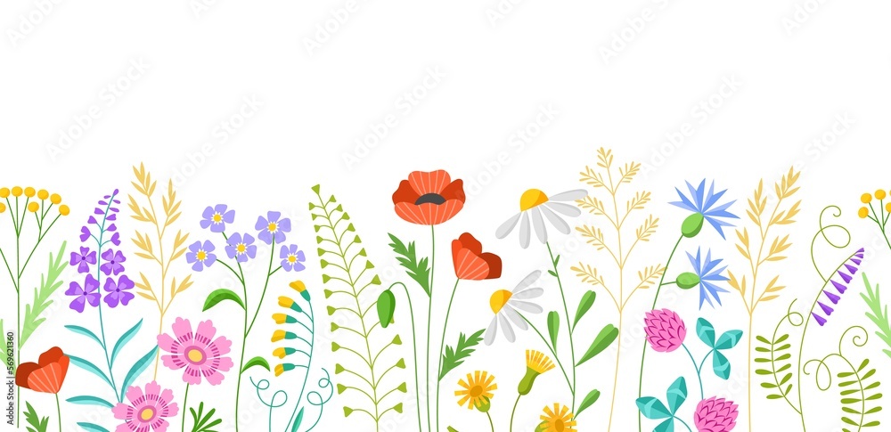 Wall mural Beautiful meadow flowers. Summer field grasses, spring blooming herbs, repeated background, wild decorative plants, vector seamless borders