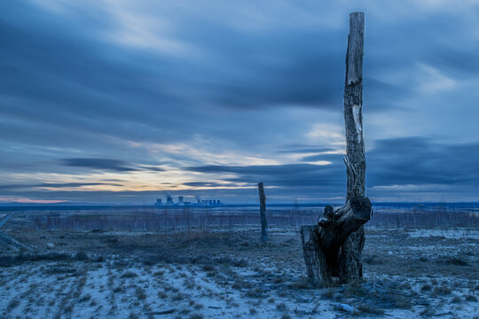 ein abgestorbener Baum im Tagebaugebiet mit bew&ouml;lkten Himmel und dem Kraftwerk im Hintergrund