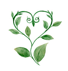 Watercolor heart with green leaves on a white background