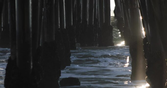 Pier Pilings Under Ocean Pier