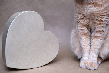 Packed gift. Part of a red cat and a heart-shaped box. A gift with love. A gift for a cat.