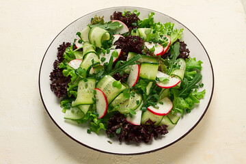 Vegetable salad, radishes and cucumbers, radish micro-greens, lettuce leaves, green onions, homemade, no people,