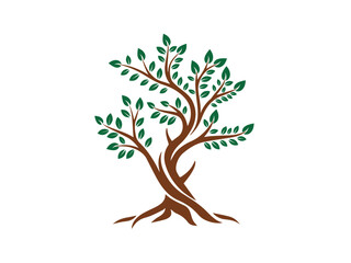 Fototapeta premium Creative tree vector design on white background.