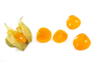 Physalis pubescens in studio