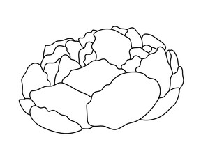 Vector sketch of peony, line art. Black contour, isolated on white.