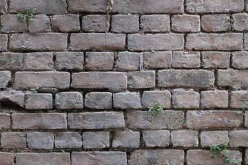 Old brick wall