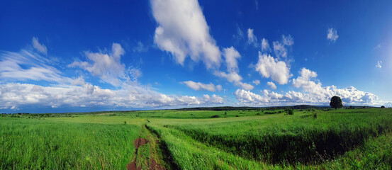 Summer landscape with green grass, road and clouds - 569634110