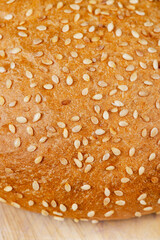 Fresh sesame bun for sandwiches