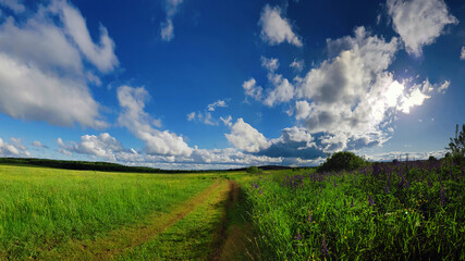 Summer landscape with green grass, road and clouds