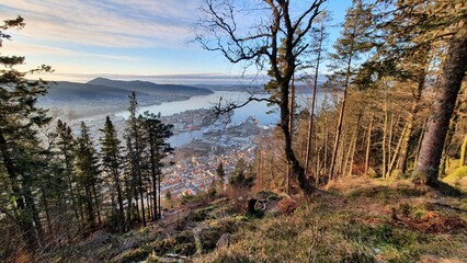 Fototapeta na wymiar Bergen from above