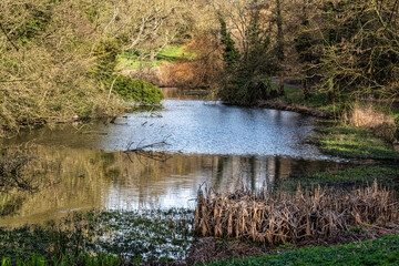Lake in the Manor Park Country Park in West Malling near Maidstone in Kent, England