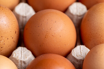 Fresh chicken eggs for cooking