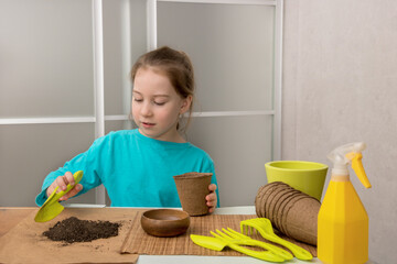 little girl at the table enthusiastically prepares the ground in peat pots for planting seedlings
