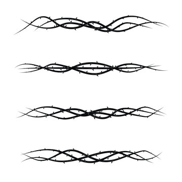 Blackthorn branches with thorns swirl