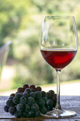 Glass of red wine and bunch of grape. Sao Roque city, Brazil