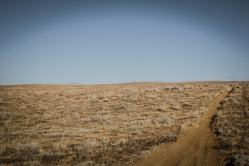 Wide landscape of dirt trail running through flat grassy barren landscape against blue sky in Western Colorado