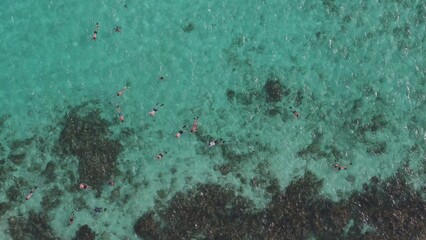 Top down aerial of tourists snorkleing in clear turquoise water in Sting Ray City in Cayman Islands