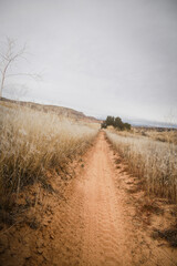 Low angle shot of dirt trail with bike tracks in grassy rolling hills at sunset with cloudy sky in Colorado