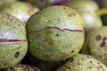 Unpeeled walnut harvest on the table