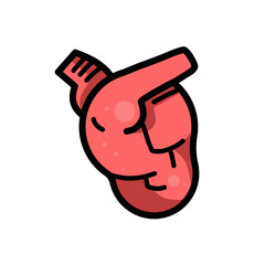 heart muscle - vector icon