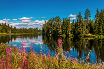Summer in Sweden