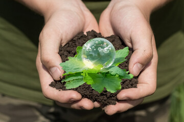 hands hold the ground with young shoots and a glass ball symbol of water. Ecology Concept, Earth Day,