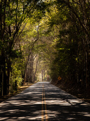 Viajando de carro pela Serra da Mantiqueira, na Rodovia BR 354 entre Minas Gerais e Rio de Janeiro