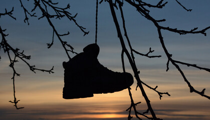 Schuh an einem Baum hängend
