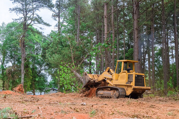 Contractor used tractor skid steers to remove trees from property during construction process in...