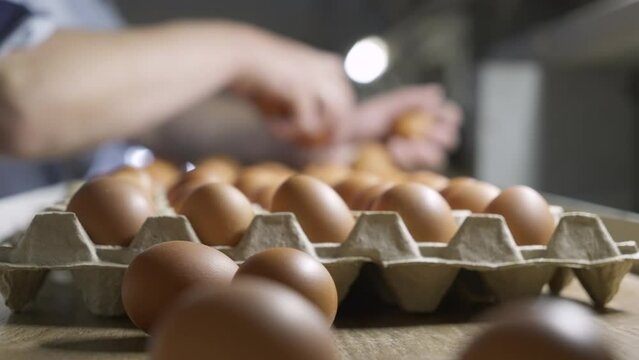 Sorting chicken eggs into the multiple carton holders. Sorting chicken eggs into the cardboard trays at the manufacturing plant. Labourer sorting freshly made brown chicken eggs. Organic.