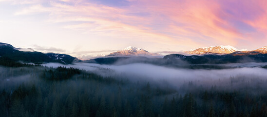 Green Trees in Forest with Fog and Mountains. Sunrise Sky Art Render. Canadian Nature Landscape Background. Near Squamish, British Columbia, Canada. Panorama