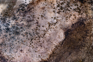 texture