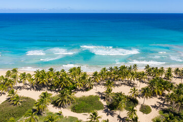 Caribbean beach scene with coconut palms, sand, ocean and blue sky. Tropical nature. Dominican Republic. Aerial view