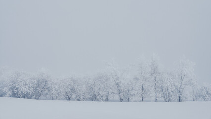 Norwegian February winter at rural Toten.
